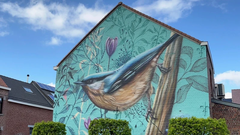 Muurschildering van boomklever fleurt Dorpsstraat in Meerbeek op