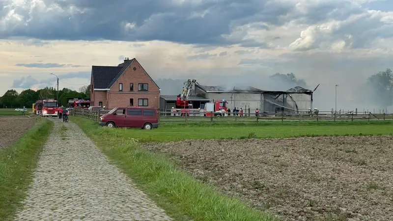 Brand in paardenstal in Rozendaalstraat in Herent: brandweer probeert hooi te blussen