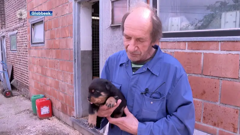 Minister Ben Weyts trekt erkenning hondenkweker in Glabbeek in: "Een paar pups moeten euthanaseren bij laatste controle"