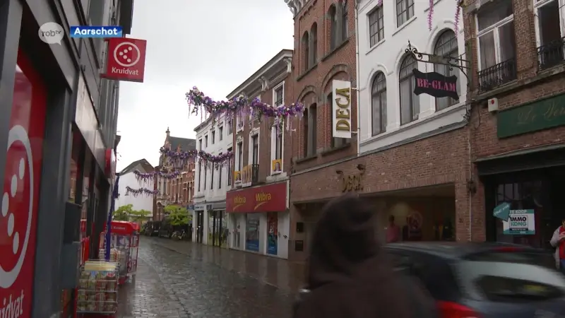 Aarschot fleurt winkelstraten op met nieuwe bloemenslingers: "412 meter aan kleurrijke bloemen"