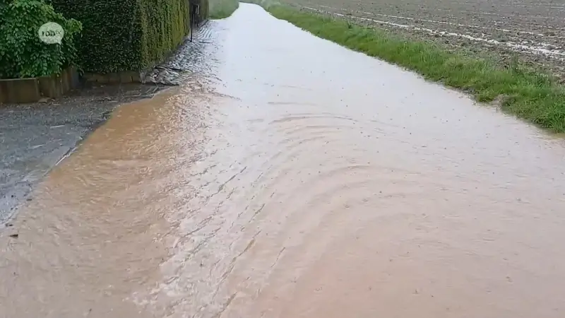 Ook Glabbeek blijft niet gespaard van de regenval, onder meer de Ruekenbosstraat in Bunsbeek staat blank