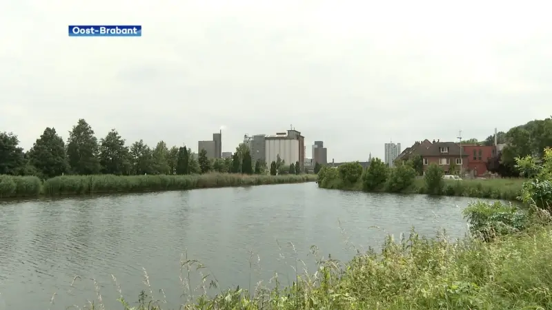 Leuven wil met steden en gemeenten uit onze regio gloednieuw dierenwelzijnscentrum bouwen: "Dit is geen verhaal van de stad, dit moet een verhaal van de regio worden."