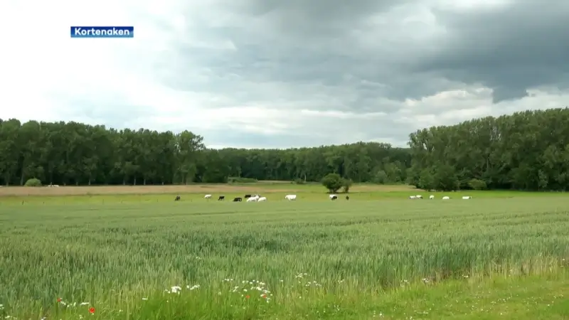 Velpevallei organiseert picknick in Hoeleden als infomoment over toekomst van natuurgebied