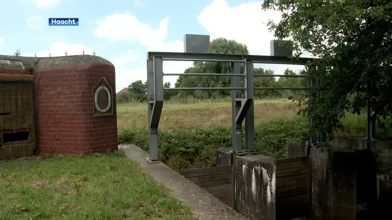 Bunker in Haacht opnieuw gecamoufleerd zoals tijdens de Tweede Wereldoorlog: "Viel niet op voor de Duitsers"