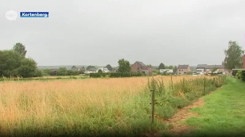 Groen licht voor bouw van 28 woningen aan Dewitstraat in Meerbeek