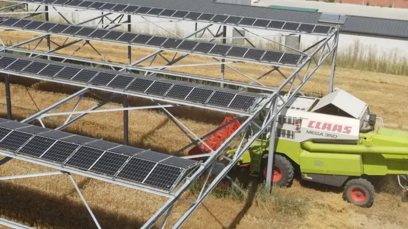 Testboerderij van KU Leuven TRANSfarm test zonnepanelenpark op hoogte: "Daaronder nog akkerbouw mogelijk"