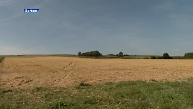 Brand in veld in Leefdaal: 50 are is nu zwart geworden door het vuur