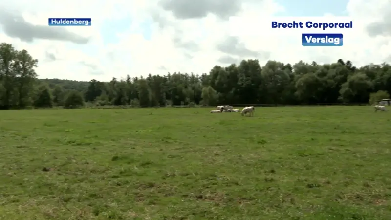 Wandelen en erna een ijsje eten op basis van melk recht van de koe? Ontdek hier waar het kan in onze regio