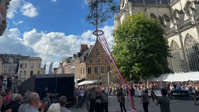 De Meyboom staat ook dit jaar weer op tijd recht op de Grote Markt