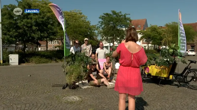 Groen wil de Becker Remyplein en Vismarkt in Leuven vergroenen: "Ontharde pleinen zorgen voor koelere temperaturen"