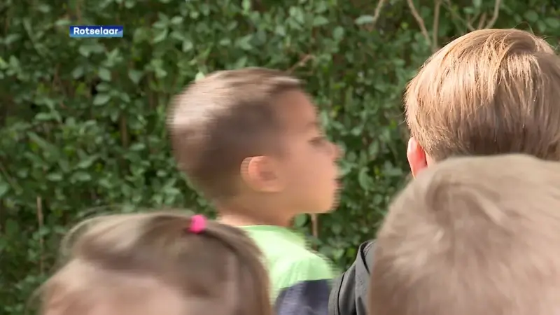 Kinderen kunnen hun fopspenen ophangen aan Tutjesboom in Rotselaar