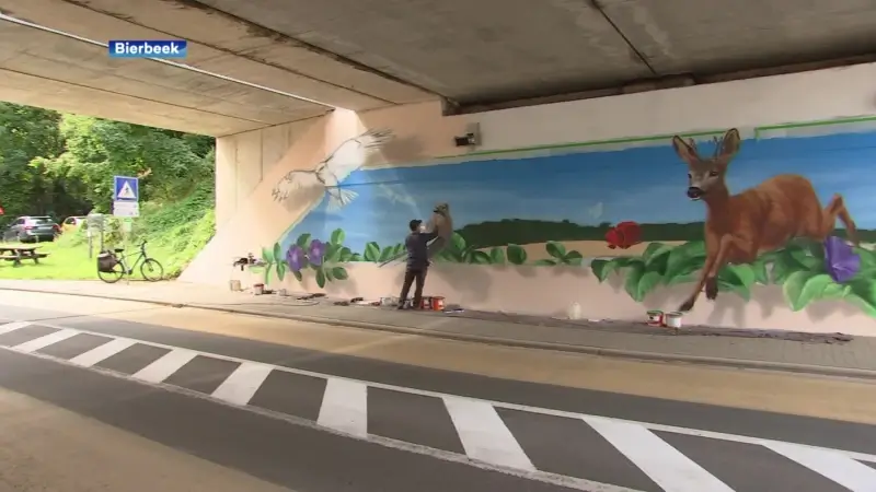 Spoorwegbrug Bierbeekstraat in Bierbeek in het nieuw