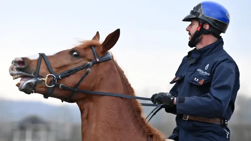 Lubbeek krijgt federale versterking te paard in strijd tegen inbrakenplaag in Linden