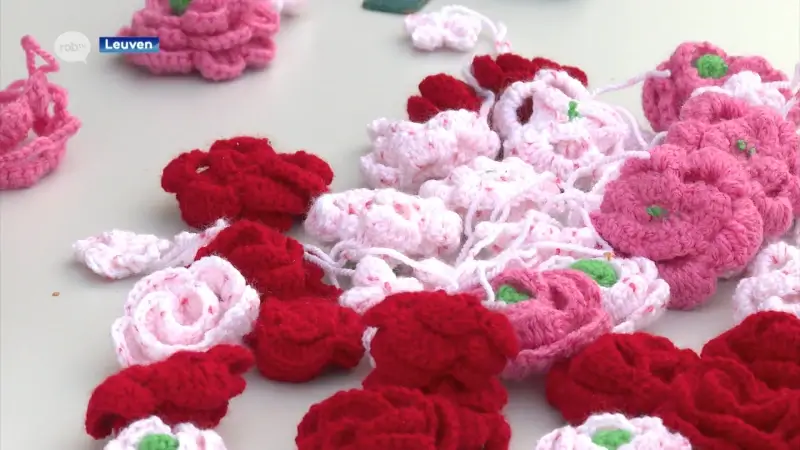 Hoofdafbeelding voor artikel Samen haken voor 900ste verjaardag…