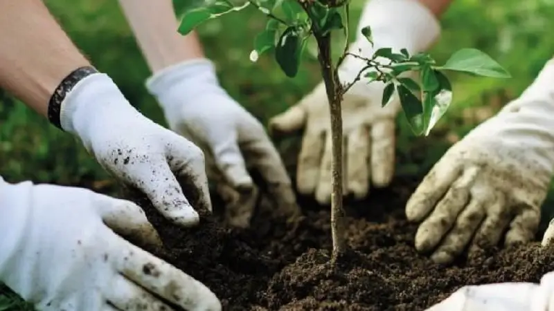 EcoWerf organiseert compostactie om voordelen van compost onder aandacht te brengen: "Gratis tuinhandschoenen en zak compost bij aankoop van drie zakken"