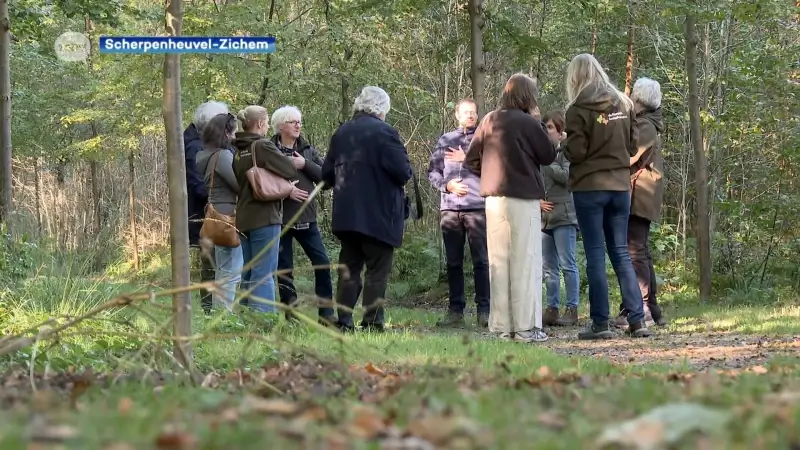 'Verborgen Veerkrachtpad' moet natuur integreren in therapeutische relatie: "Natuur biedt meer mogelijkheden dan gewone therapie"