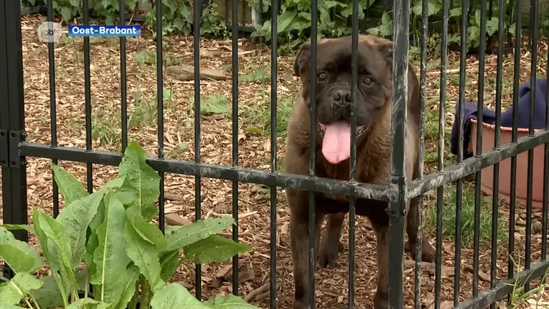 Tien gemeenten pleiten voor dierenwelzijncentrum in onze regio op Werelddierendag