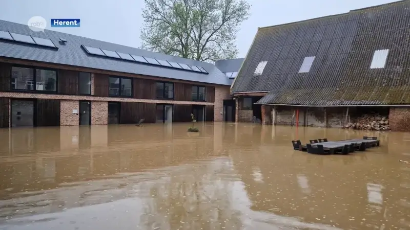 Herents Duigemhof start petitie en vraagt actie tegen wateroverlast: "Anderhalf jaar na waterbom nog altijd geen concrete maatregelen"