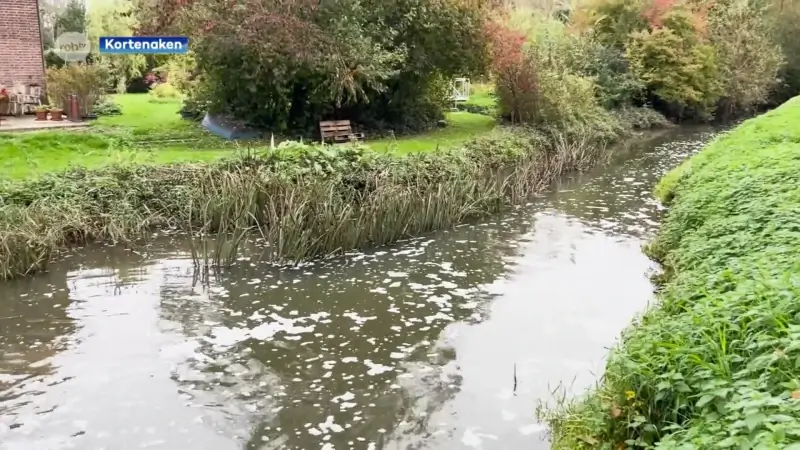 Zuurstoftekort in De Velpe in Kortenaken zorgt voor vissterfte, brandweer moet ingrijpen