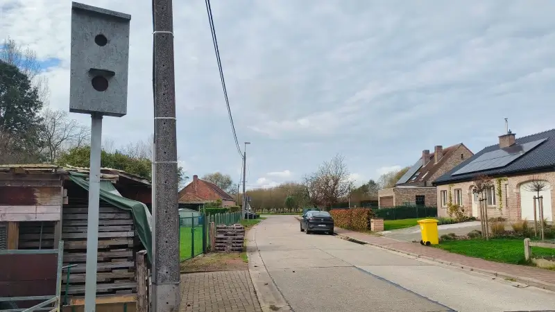 Nieuwe flitspaal die niet flitst: man uit Rotselaar plaatst zelfgemaakte flitspaal in zijn straat