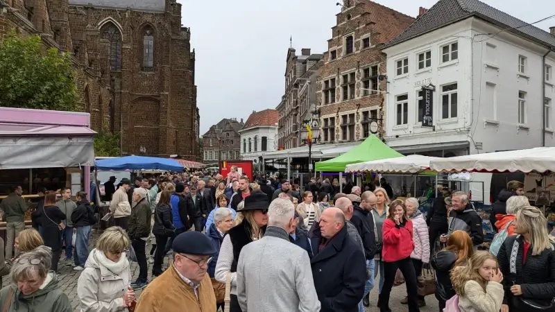 Jaarlijkse Allerheiligenmarkt in Diest blijft enorm populair: "Valt buitengewoon goed mee"