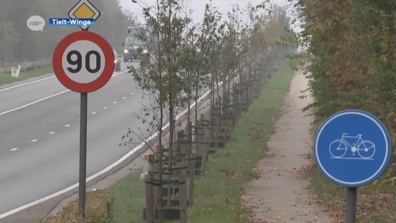 Van 12 november tot 5 december hinder op de Aarschotsesteenweg in Tielt-Winge door werken: Agentschap Wegen en Verkeer plaatst er twee nieuwe verlichte oversteekplaatsen.