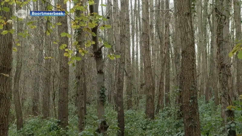 Natuurpunt Boortmeerbeek maakt van het Goorbos in Schiplaken een nieuw natuurgebied