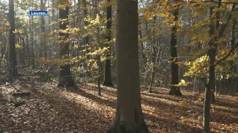 Student KU Leuven wil wereldrecord marathon verbreken ... op Crocs