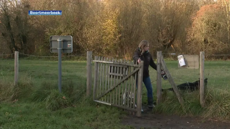 Maaike uit Boortmeerbeek ontwikkelt AI-tool voor advies over honden en katten