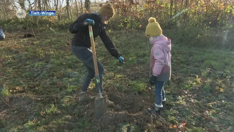 Bedrijven planten meer dan duizend nieuwe bomen in Tielt-Winge