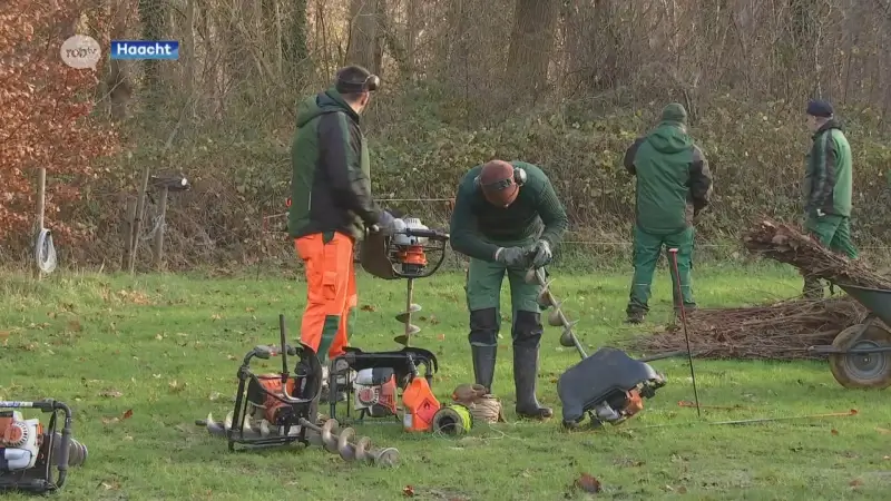 Provincie Vlaams-Brabant start met aanplant van 1.000 bomen op weiland in Haacht: "Eik, linde en esdoorn"