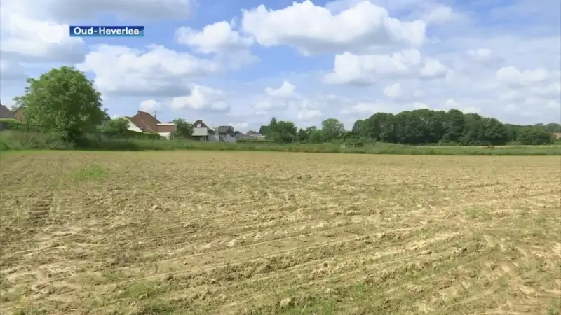 Bouwbedrijf Durabrik in beroep bij provincie voor bouw van 160 woningen in Haasrode