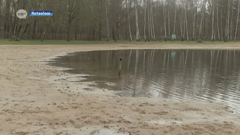 Oudejaarsduik in plas van Rotselaar opnieuw volzet: "Elk jaar sneller uitverkocht"