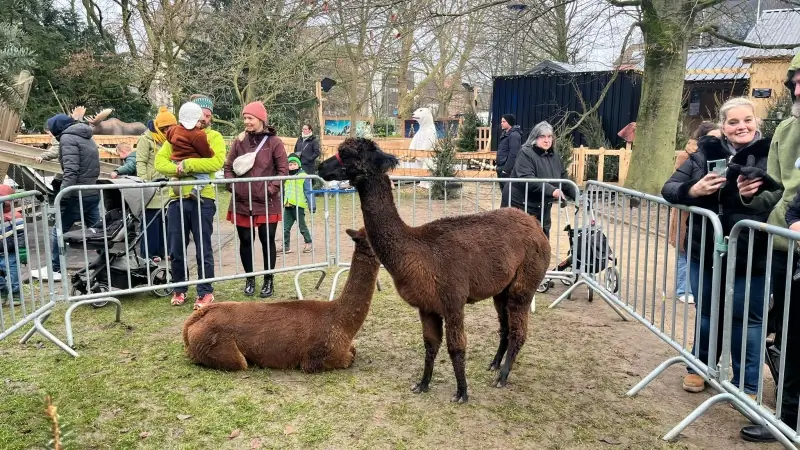 Dierendag in stadspark Aarschot: "Kinderen kunnen knutselen en dieren aaien"