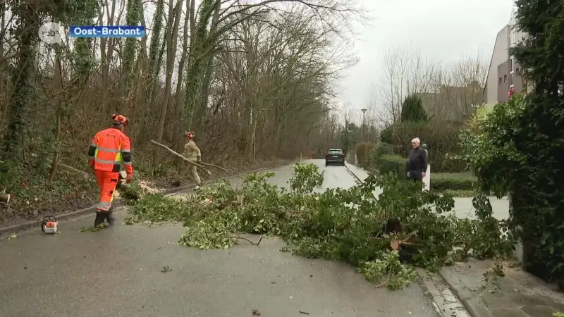 Storm Floriane veroorzaakt felle rukwinden in Oost-Brabant: Brandweer krijgt net geen 200 oproepen