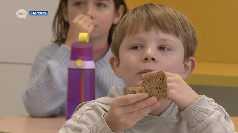 Alle leerlingen van Gemeentelijke Basisschool Leefdaal zijn verhuisd naar nieuw gebouw, met als blikvanger een glijbaan in het midden van de hal: "Heel leuk!"