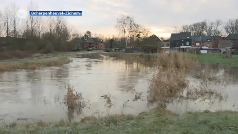 Waterpeil Demer blijft stijgen in Zichem, nog maar 15 cm overschot: "Gaan met drones kijken of er nergens een dijk op breken staat, maar voorlopig alles onder controle "