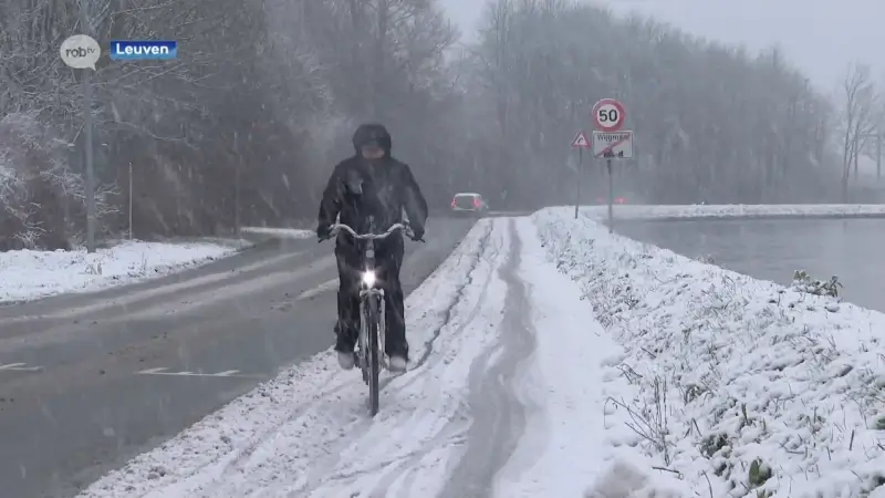 Leuvenaars maken stoep vrij voor hun woning, fietsen is niet overal even simpel