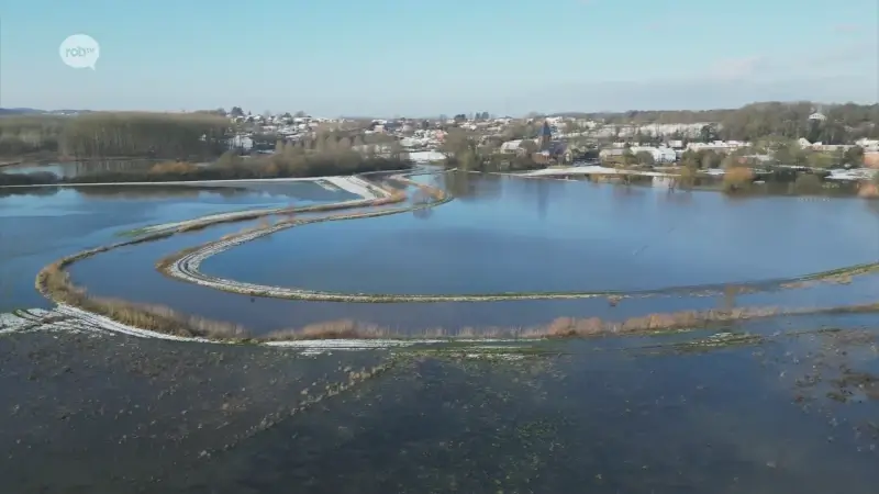 BEKIJK: Dronebeelden tonen omvang van wateroverlast in de buurt van het centrum van Langdorp