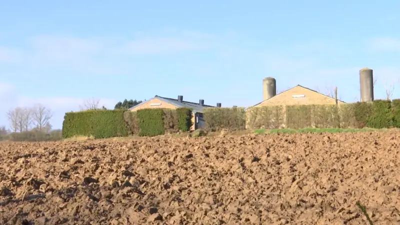 Varkensbedrijf Agro in Tienen krijgt geen vergunning voor nieuwe grote mestsilo: "Extra vrachtverkeer zorgt voor bijkomende overlast"