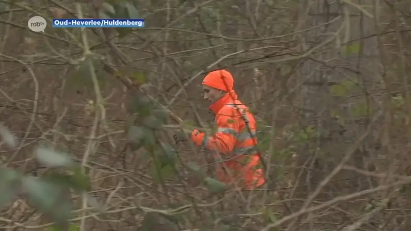 Natuurgebied Doode Bemde in Oud-Heverlee en Huldenberg morgenvoormiddag afgesloten voor drukjacht op everzwijnen