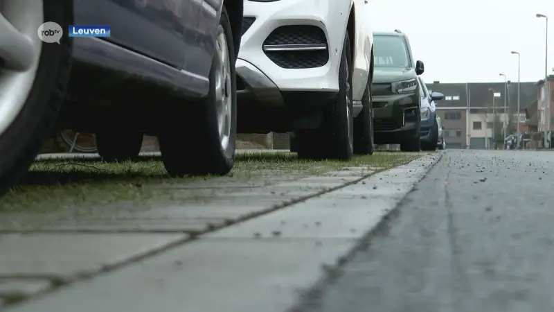 N-VA Leuven wil dat stad alleen nog straten onthardt en vergroent na goedkeuring adviesraad