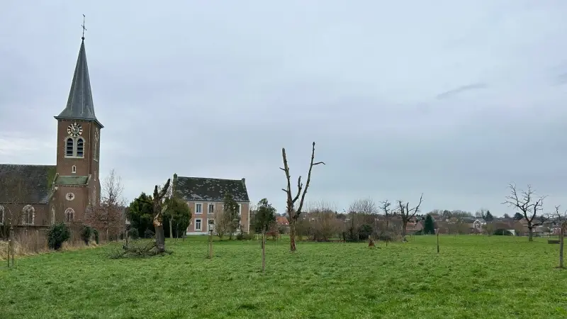 Landen start met aanplant nieuwe boomgaard in Attenhoven: "Inwoners mogen zelf fruit komen plukken"