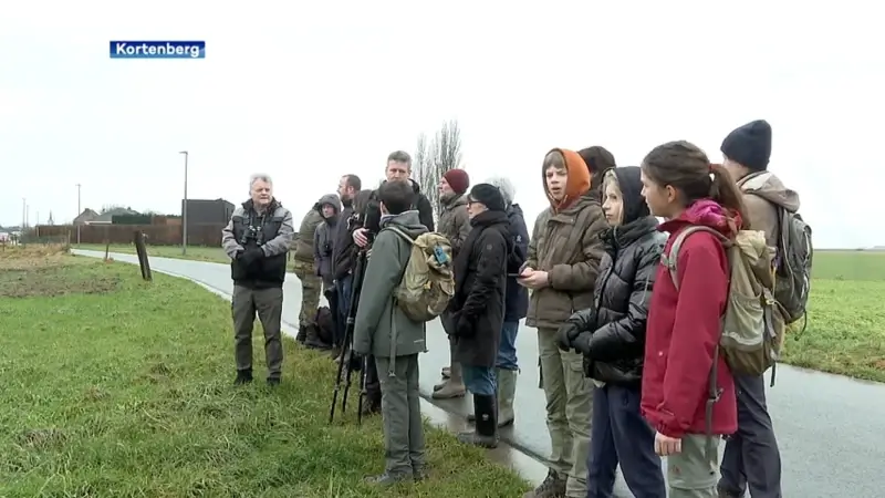 Op pad met Natuurpunt om vogels te spotten: "Je krijgt veel meer uitleg over waarop je moet letten"