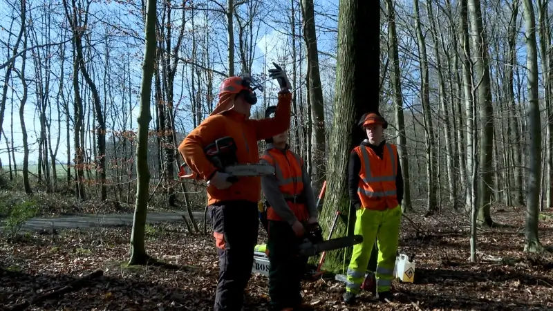 Leerlingen Land- en Tuinbouw van de Wijnpers krijgen hulp van bosbouwexpert uit... Estland: "Het duurt jaren vooraleer je een professional bent"