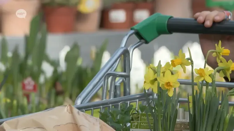 Tuincentra merken dat mensen zin hebben om in de tuin te werken: "Met het mooie weer, kriebelt het om te beginnen!"