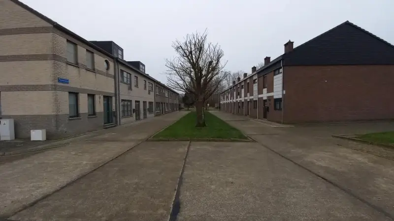 Heraanleg Rietensplein gestart: Stad haalt zieke Kerselaars weg