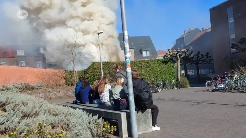 Tuinarbeiders KU Leuven zetten per ongeluk haag in brand aan Alma 2