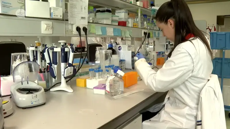 Onderzoekers van KU Leuven zetten belangrijke stap in onderzoek naar Alzheimer: "In de toekomst ziekte vertragen of zelfs voorkomen"