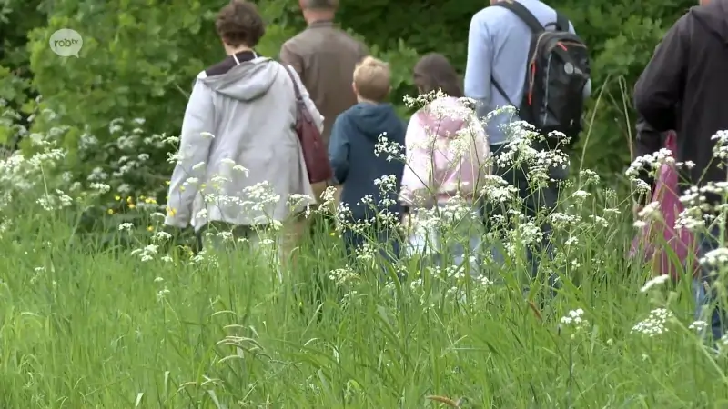 Wandel langs de mooiste plekjes van het Pikhakendonk én kom alles te weten over de Kamsalamander tijdens gloednieuwe kinderwandeling aan kasteel Ravestein in Hever